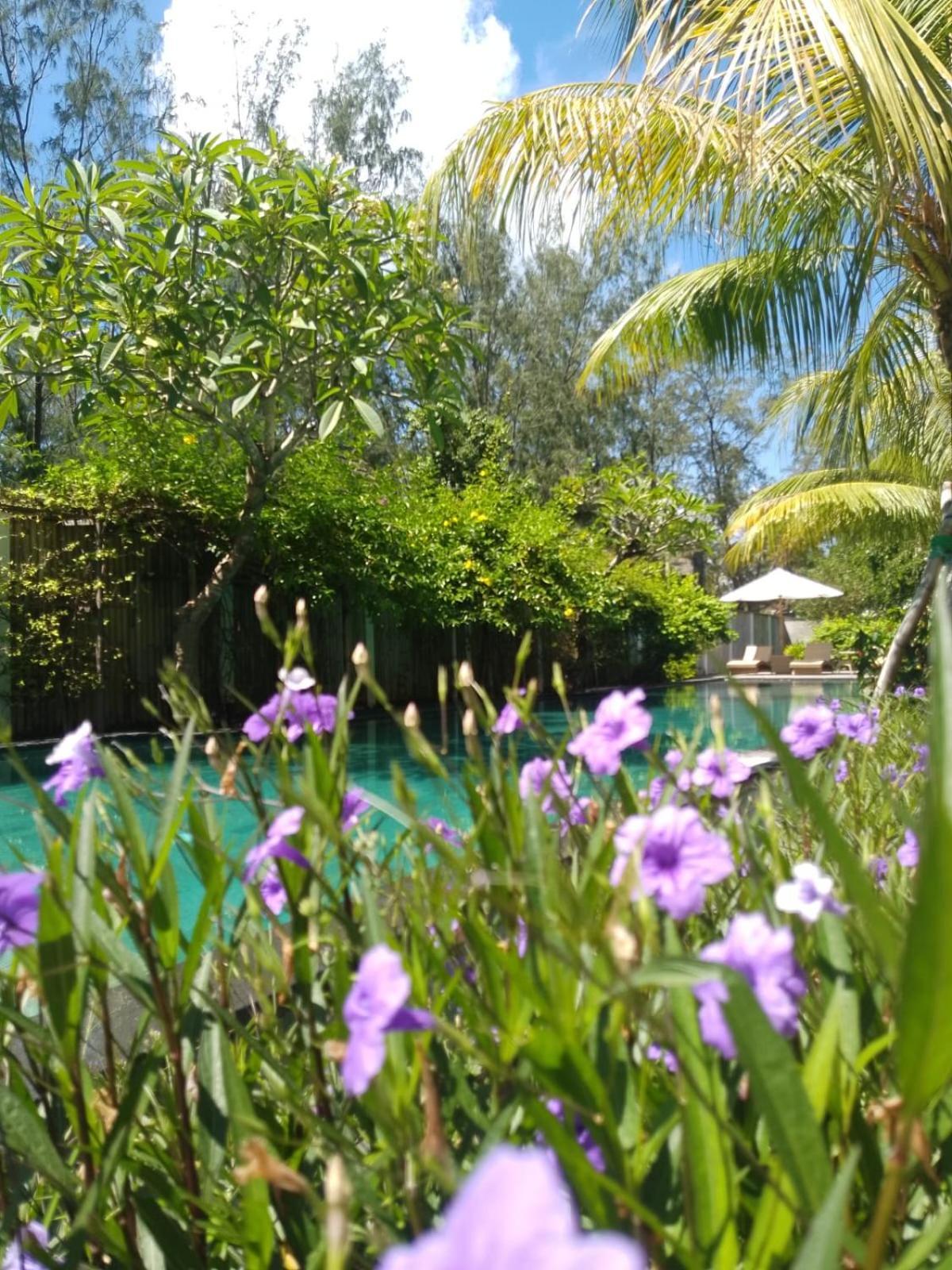 Villa Penyu Τζίλι Τραγουανγκάν Εξωτερικό φωτογραφία